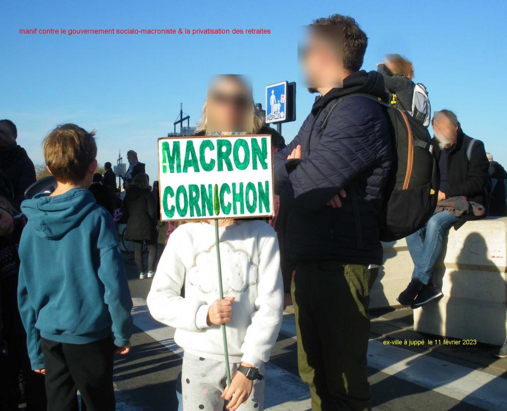 macron cornichon
