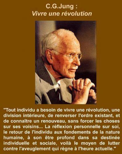 Jung et la Révolution
