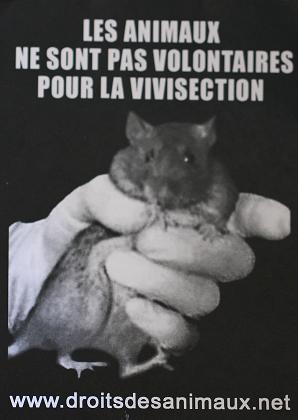 Vivisection NON