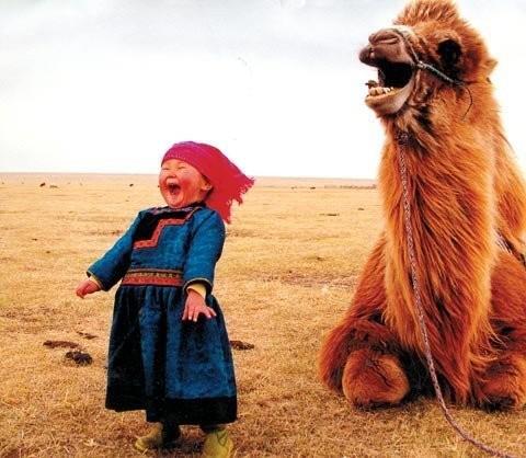 camel and toddler