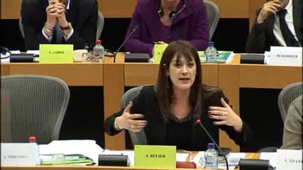 NDDL - Sandrine Bélier intervient en soutien des pétitions au Parlement européen