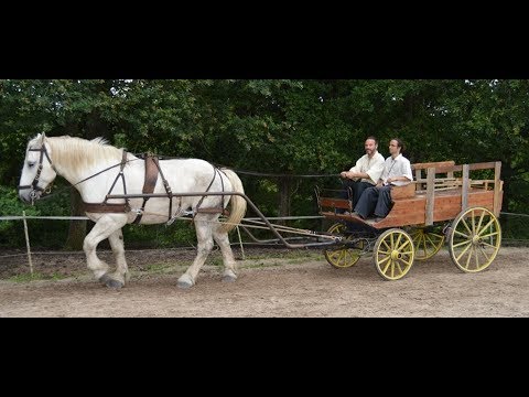 Roulopa : gite itinérant en roulottes à cheval