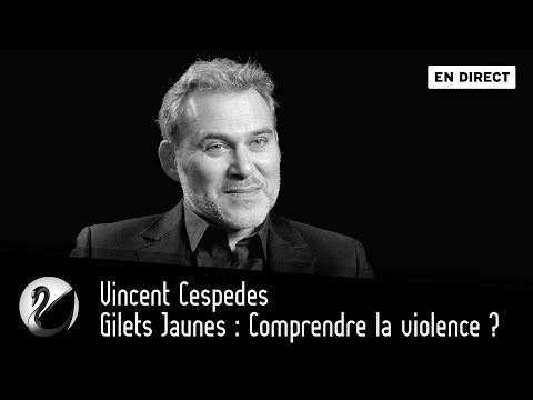 Gilets Jaunes : Comprendre la violence ? [EN DIRECT]