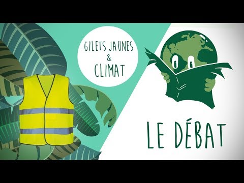 Le Débat du JTerre - Gilets jaunes et climat : même combat ?
