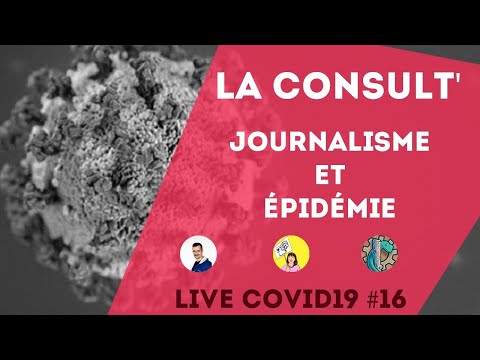 COVID19 - La Consulte #16 : Le journalisme face à l'épidemie ft Nicolas Martin & AudeWTF