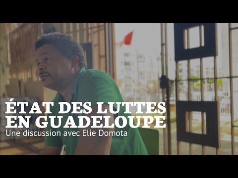 État des luttes en Guadeloupe - Une discussion avec Elie Domota