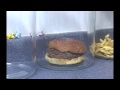 The Decomposition Of McDonald's Burgers And Fries.