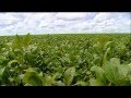 Le monde selon Monsanto [complet] [FR] [HD]